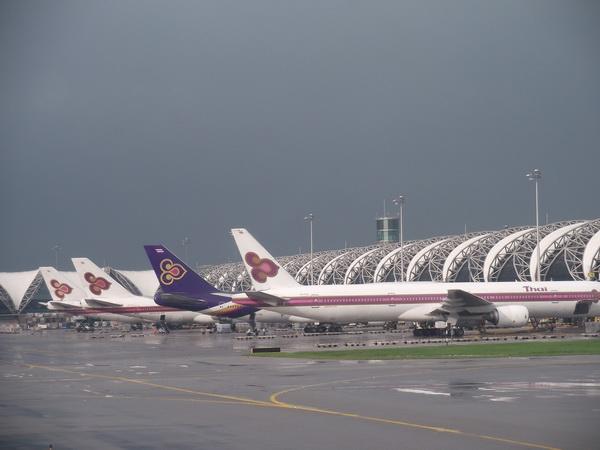 244.jpg